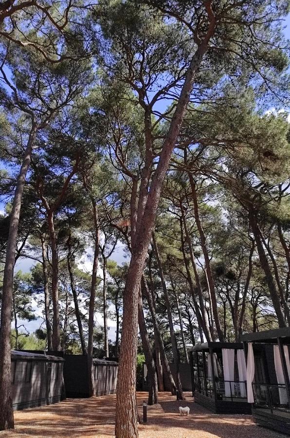 רוביני Mobile Home More Porton Nature Hideouts מראה חיצוני תמונה