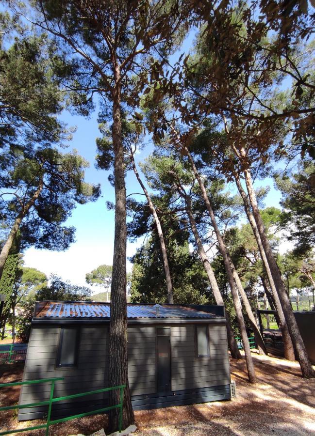 רוביני Mobile Home More Porton Nature Hideouts מראה חיצוני תמונה